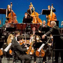 Concerte de 5 stele