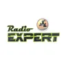 Expert