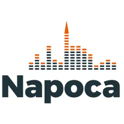 Logo Napoca FM