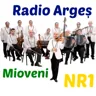 Arges Mioveni Nr1