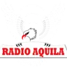 Aquila