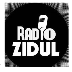 Logo Zidul